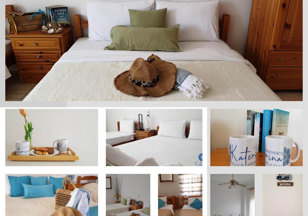 Katerina Rodon Apartments ネア・ローダ エクステリア 写真